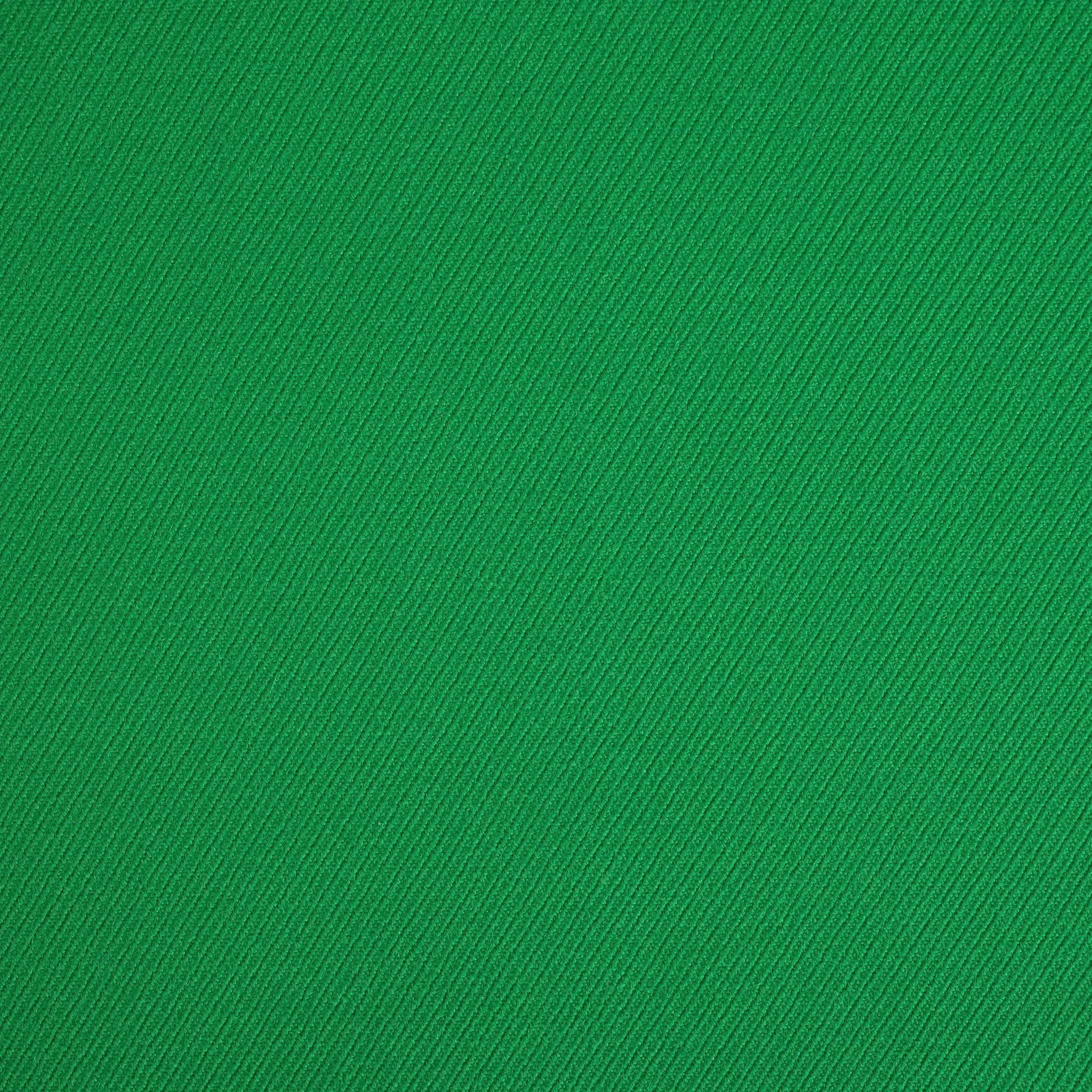 Green Twill Double Weave Fabric 4627