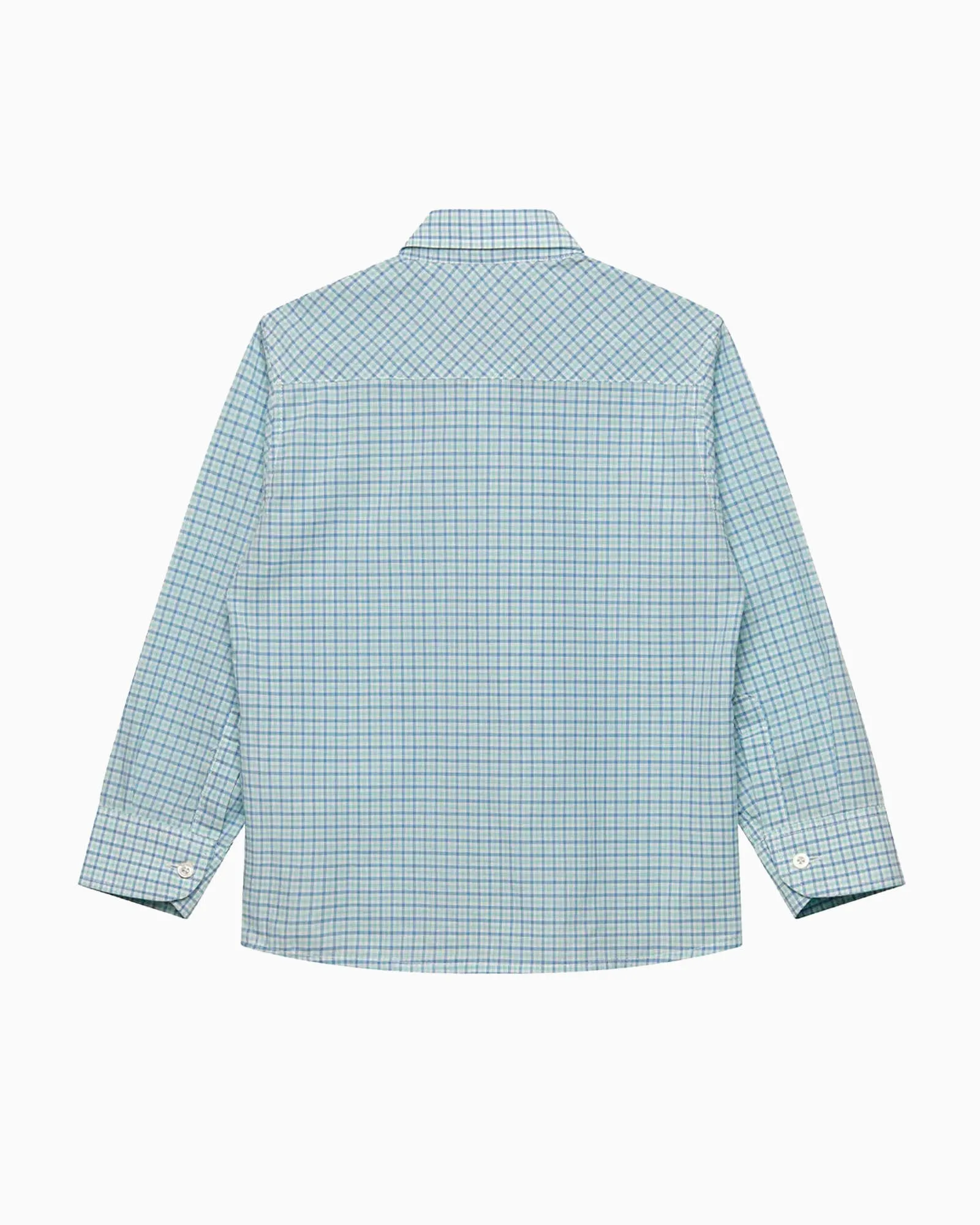 Thomas Shirt in Sage Check